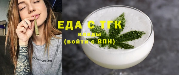 стаф Ельня
