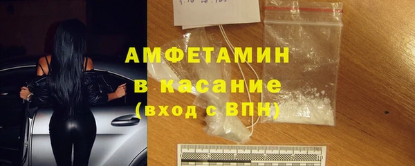 стаф Ельня