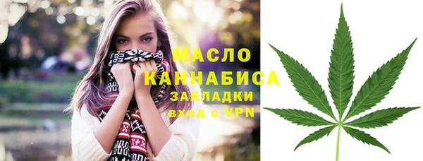 стаф Ельня
