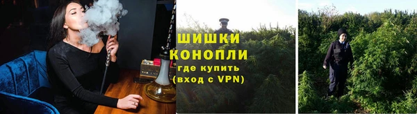 стаф Ельня