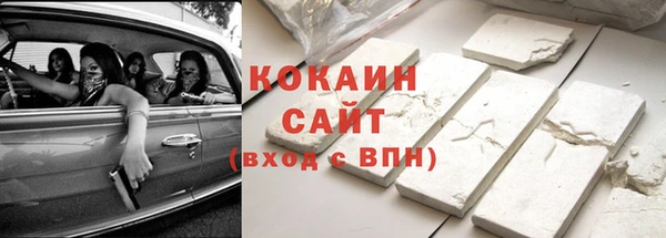 стаф Ельня