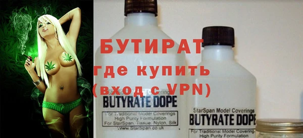 стаф Ельня