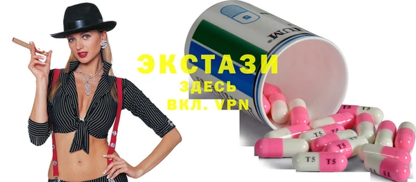 стаф Ельня