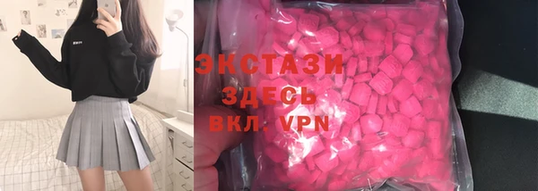 стаф Ельня