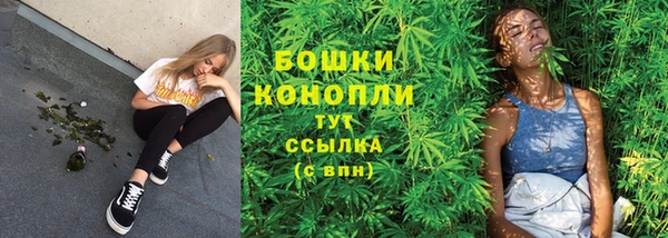 стаф Ельня