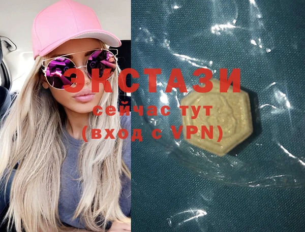 стаф Ельня
