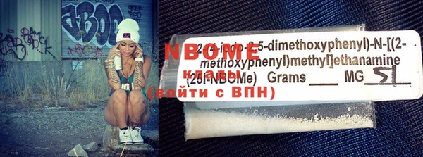 стаф Ельня
