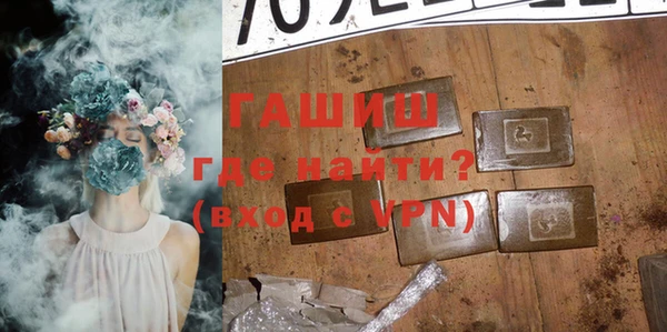 стаф Ельня