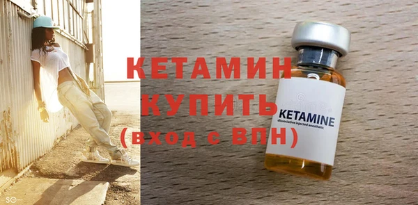 стаф Ельня