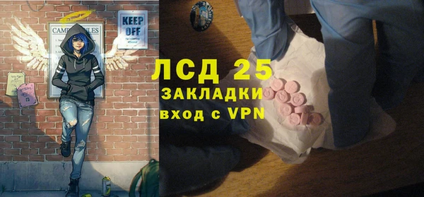 стаф Ельня