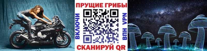 Купить где  Советская Гавань  Галлюциногенные грибы прущие грибы 
