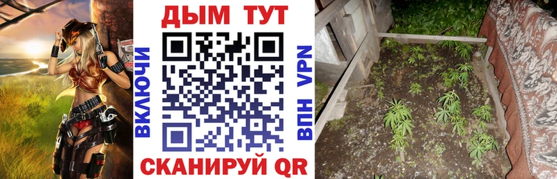 Купить закладки  Советская Гавань  Каннабис ГИДРОПОН 